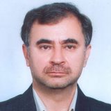 دکتر محمدرضا مهرگان